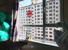 城区|金潞苑3室1厅1卫出租