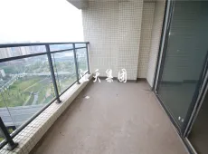 东兴区|汉安天地4室2厅2卫出售