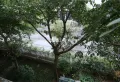 兴隆小区二期 户型方正6