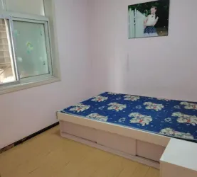 东宝区-中天街-东宝建设街