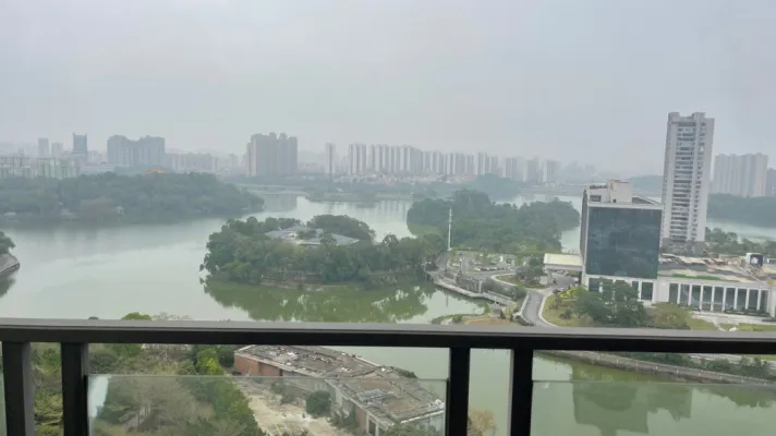 全湖景！鸳鸯湖大平层 185平方四房双套房 大阳台靓楼层