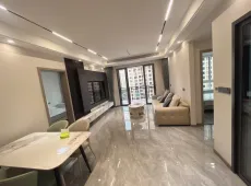 龙马潭|酒城国际3室2厅2卫出售