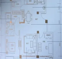 新滨湖孔雀城户型信息3