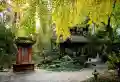 经典唐安府楼盘图5