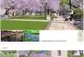 置信仙林谷乡楼盘图4