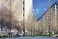 正荣悦珑府楼盘图4