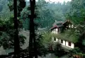 青城上院楼盘图12