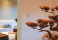 天府国际凤凰城楼盘图27