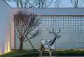 棠湖泊悦西江楼盘图8