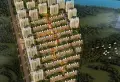 中海阳光玫瑰园楼盘图1