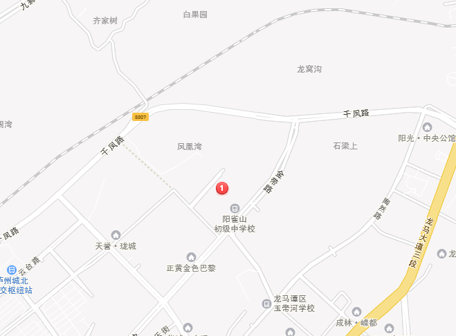 酒城国际小区图片