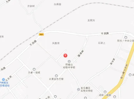 酒城国际-龙马潭区龙马片区千风路南侧（阳雀山中学旁）