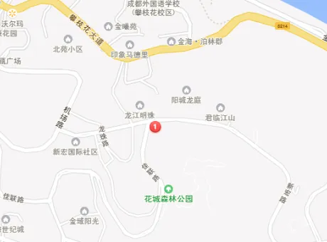 SOHO领地-东区东区炳草岗街道阳秋巷