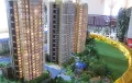滨丽雅郡户型图
