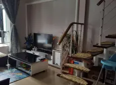 麒麟区|巧克力公寓1室1厅1卫出租
