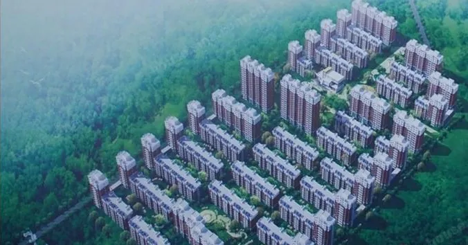 嘉隆欣苑楼盘图