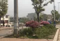 新力澜湾楼盘图43