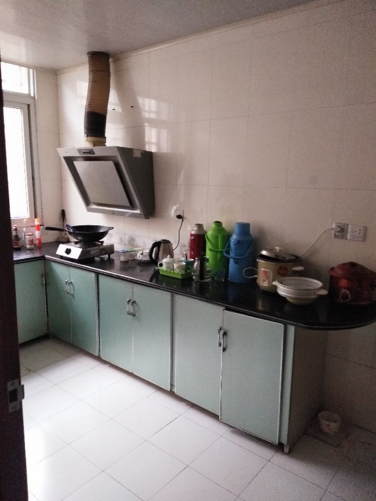 伟业公园路小区,伟业公园小区精装前排，带车库，目前不卖，出租2