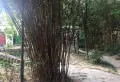 天宏水晶城小区图片10