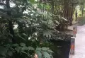 天宏水晶城小区图片9