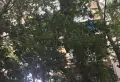 天宏水晶城小区图片6
