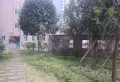 泊林晶城小区图片5