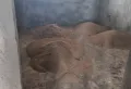 江景房 各自付税，房主急售滨江南岸精装3室2厅2卫2阳台。6