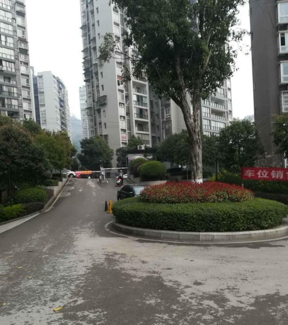 龙山观邸小区图片