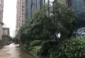 金海国际小区图片10
