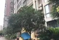 金海国际小区图片8