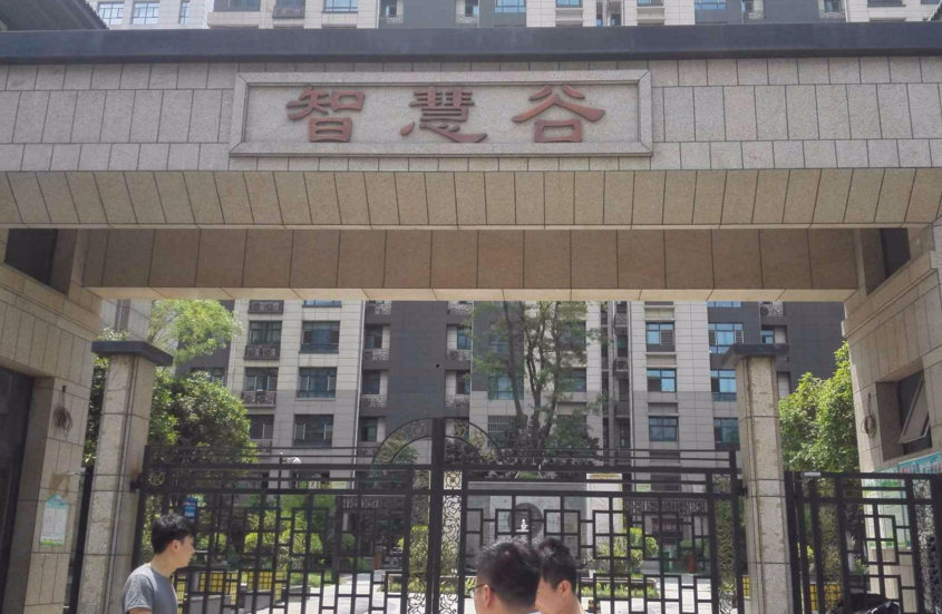 智慧谷小区图片