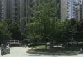 中海华庭小区图片13