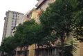 雁鸣小区小区图片10