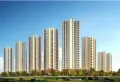 阳西碧桂园楼盘图1