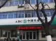 山景舜园户型图17