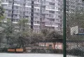 锦江城市花园一期小区图片9