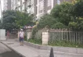 映日荷花小区图片5