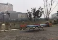 沪都家园小区图片2