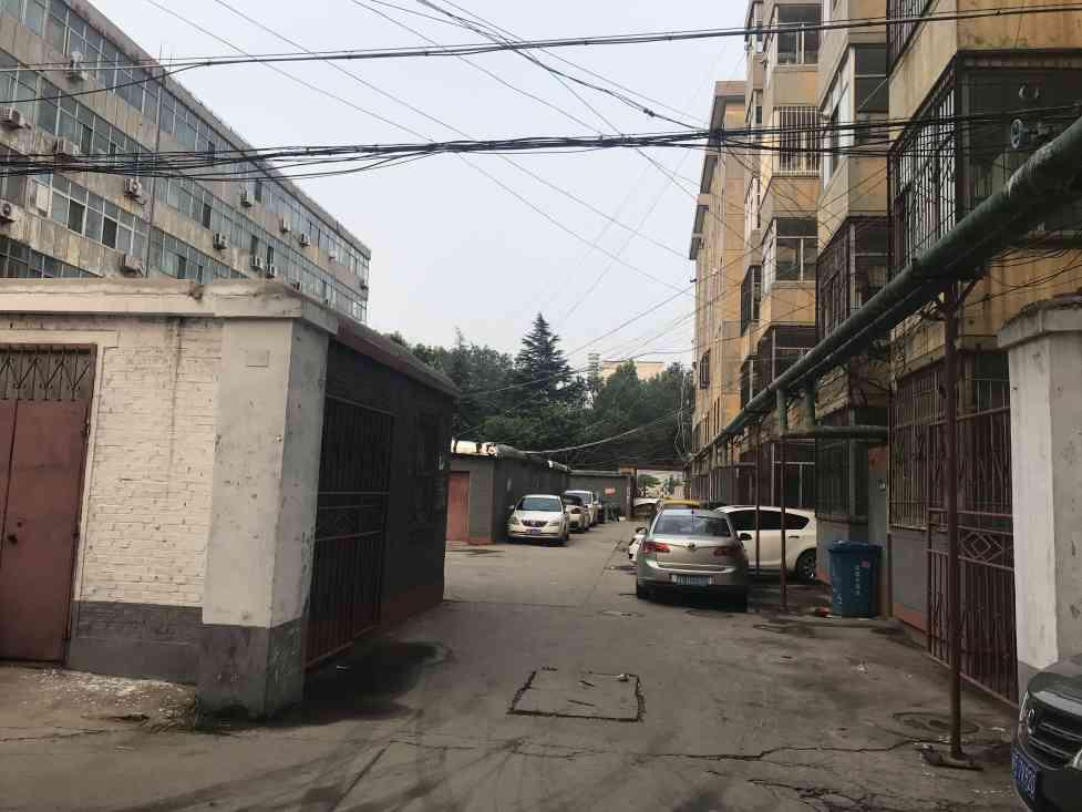 塔林小区,塔林小区附近 种子公司家属院 3室 一层带院 带车库10