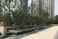 优湖美地花园小区图片8