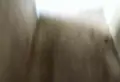 全身心漫步在一片阳光之中闲适氛围随意流露1