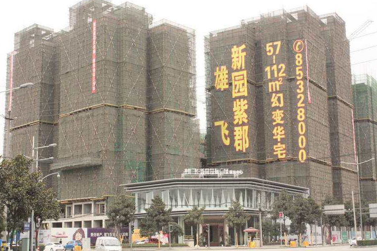 雄飞新园紫郡小区图片