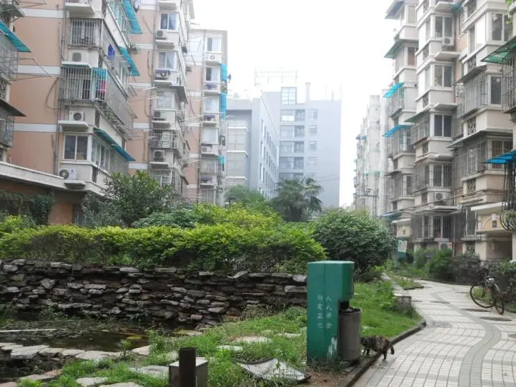 牡丹里小区图片5