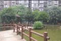 映日荷花小区图片14