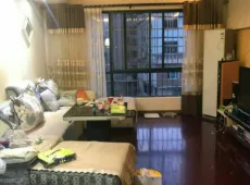 云岩区|智慧龙城3室2厅2卫出售