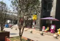 安粮城市广场小区图片5