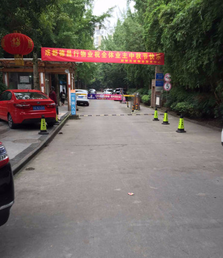 丽都花城小区图片