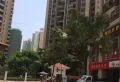 富力桃园一期小区图片5