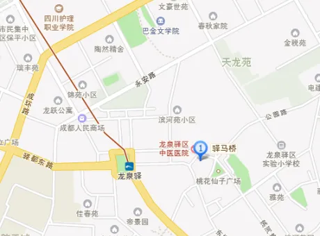 建设路建新巷20号-龙泉驿龙泉建设路