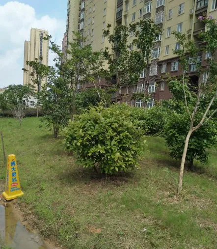 墨荷名邸小区图片4